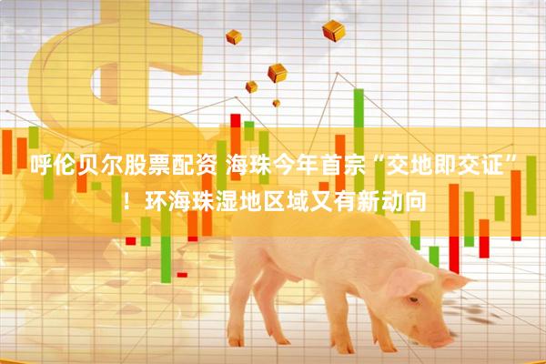 呼伦贝尔股票配资 海珠今年首宗“交地即交证”！环海珠湿地区域又有新动向